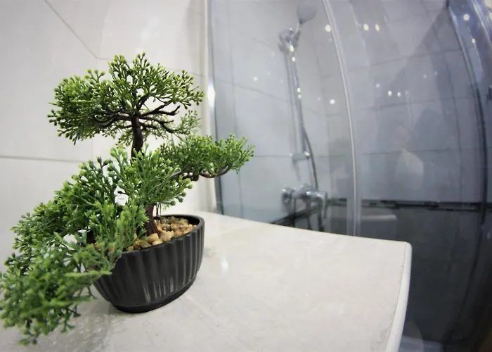 Zielone Centrum * Stronie Śląskie