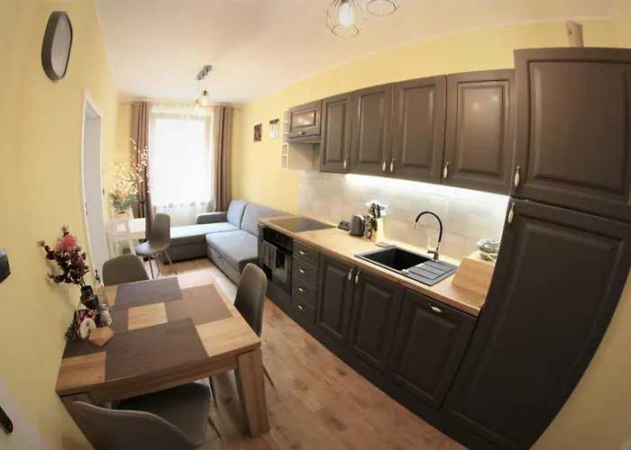 Zielone Centrum Apartment